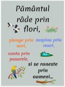 Poster motivational - Despre pamant