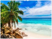 Poster natura - Plaja tropicala 