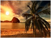 Poster natura - Plaja tropicala in asfintit 