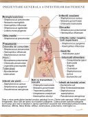Plansa medicala - Infectii bacteriene - Prezentare generala