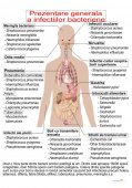 Plansa tematica - Infectii bacteriene - Prezentare generala