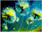 Poster abstract - Papadii abstracte