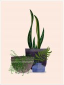 Poster boho art - Plante in ghivece