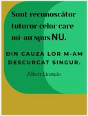 Poster motivational - Despre determinare