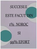 Poster motivational - Succes prin efort
