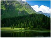 Poster natura - Armonie deplina