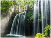 Poster natura - Minuni ascunse