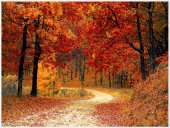 Poster natura - Culorile toamnei 