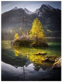 Poster natura - Lumina diminetii 