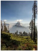 Poster natura - Padure alpina