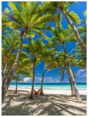 Poster natura - Palmieri la malul oceanului