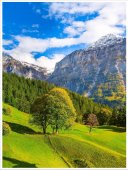 Poster natura - Zi de vara