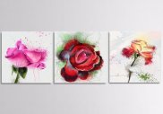 Set tematic tablouri canvas - Delicatetea rozelor