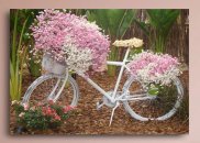 Tablou canvas - Bicicleta cu flori proaspete
