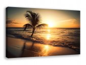 Tablou canvas - Copac singuratic in apus