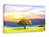 Tablou canvas - Copacul de la malul mării
