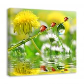 Tablou canvas - Gargarite pe firul ierbii