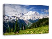 Tablou canvas - Maretia muntilor