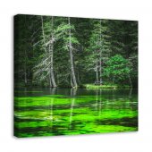 Tablou canvas - Oaza de smarald