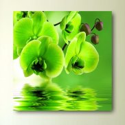 Tablou canvas - Orhidee in luciul apei