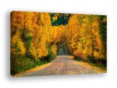 Tablou canvas - Sosea in culorile toamnei