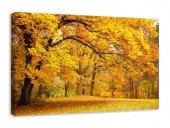 Tablou canvas - Toamna