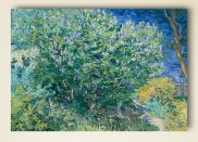 Tablou canvas - Tufa de liliac - V. Van Gogh