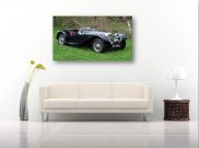 Tablou canvas -Jaguar Sport