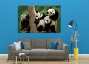 Tablou canvas -Ursuleti Panda