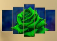 Tablou multicanvas - Trandafir unicat