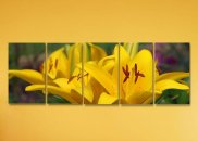 Tablou multicanvas - Detaliu floare crin