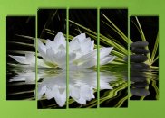 Tablou multicanvas - Floare de lotus