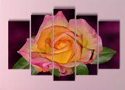 Tablou multicanvas - Trandafir multicolor