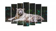 Tablou multicanvas - Tigrul alb