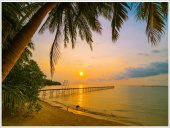 Poster natura - Apus tropical